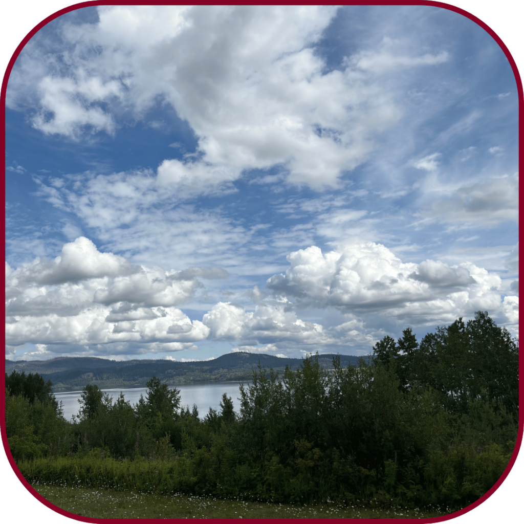 Northern BC Landscape showing trees and water